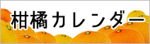 柑橘カレンダー